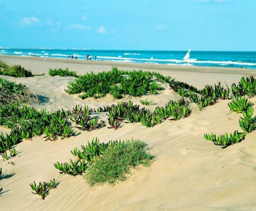 Appartamento Atico Balines Con Vistas Al Mar Canet d'En Berenguer Esterno foto